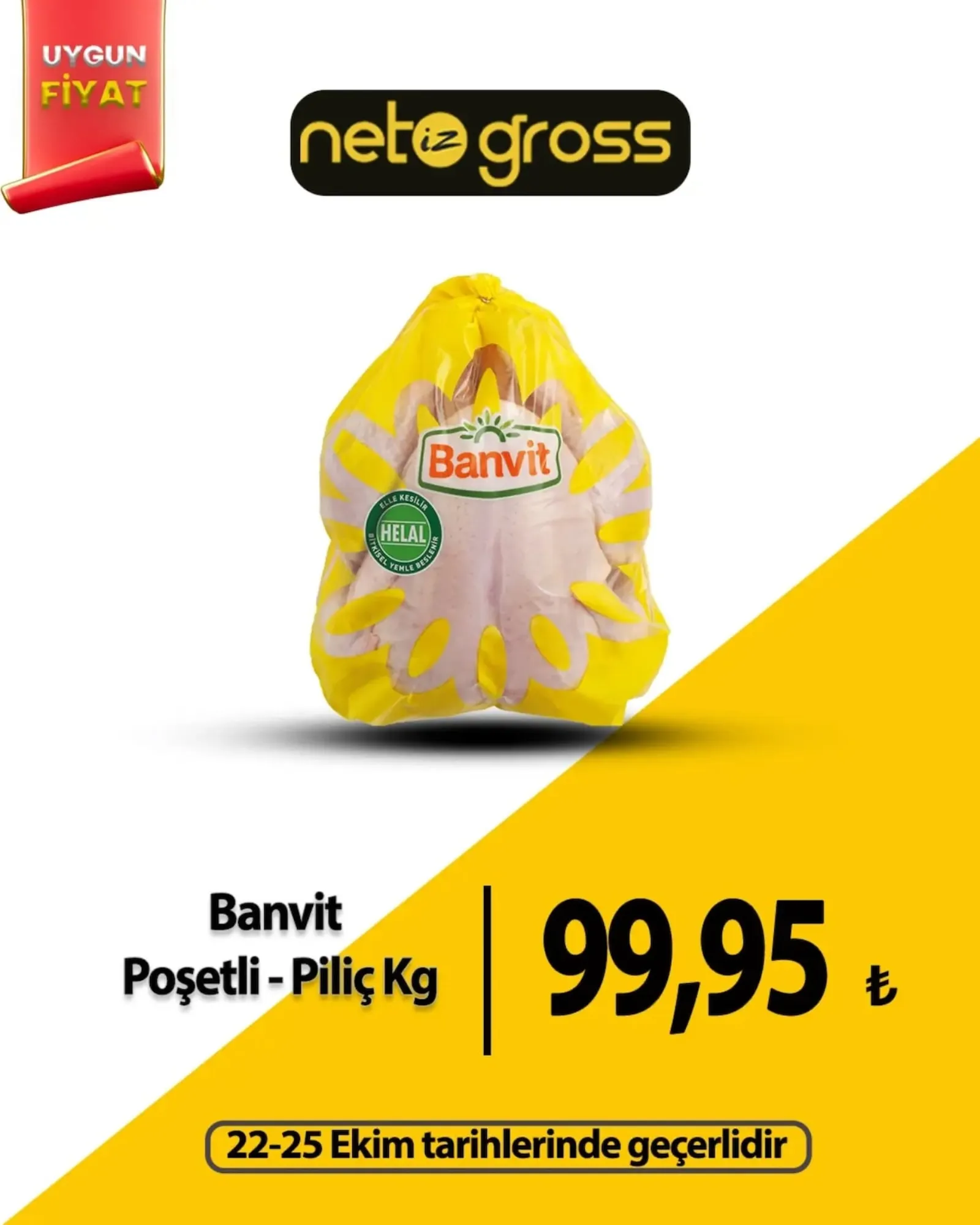 Netiz Gross broşürü
