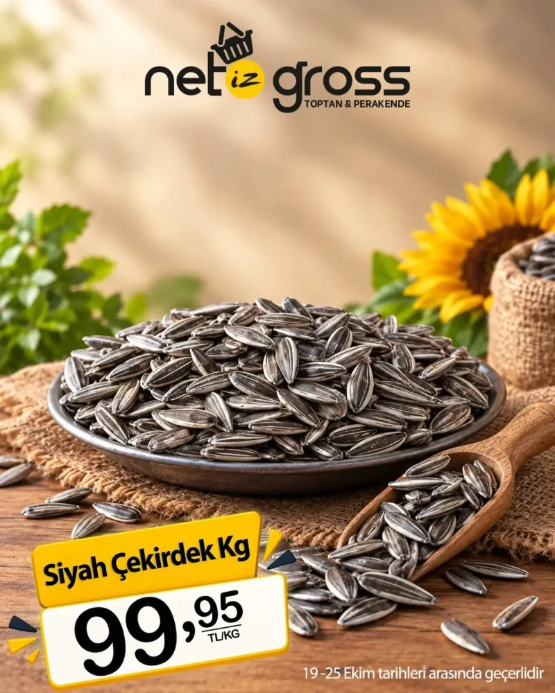 Netiz Gross broşürü