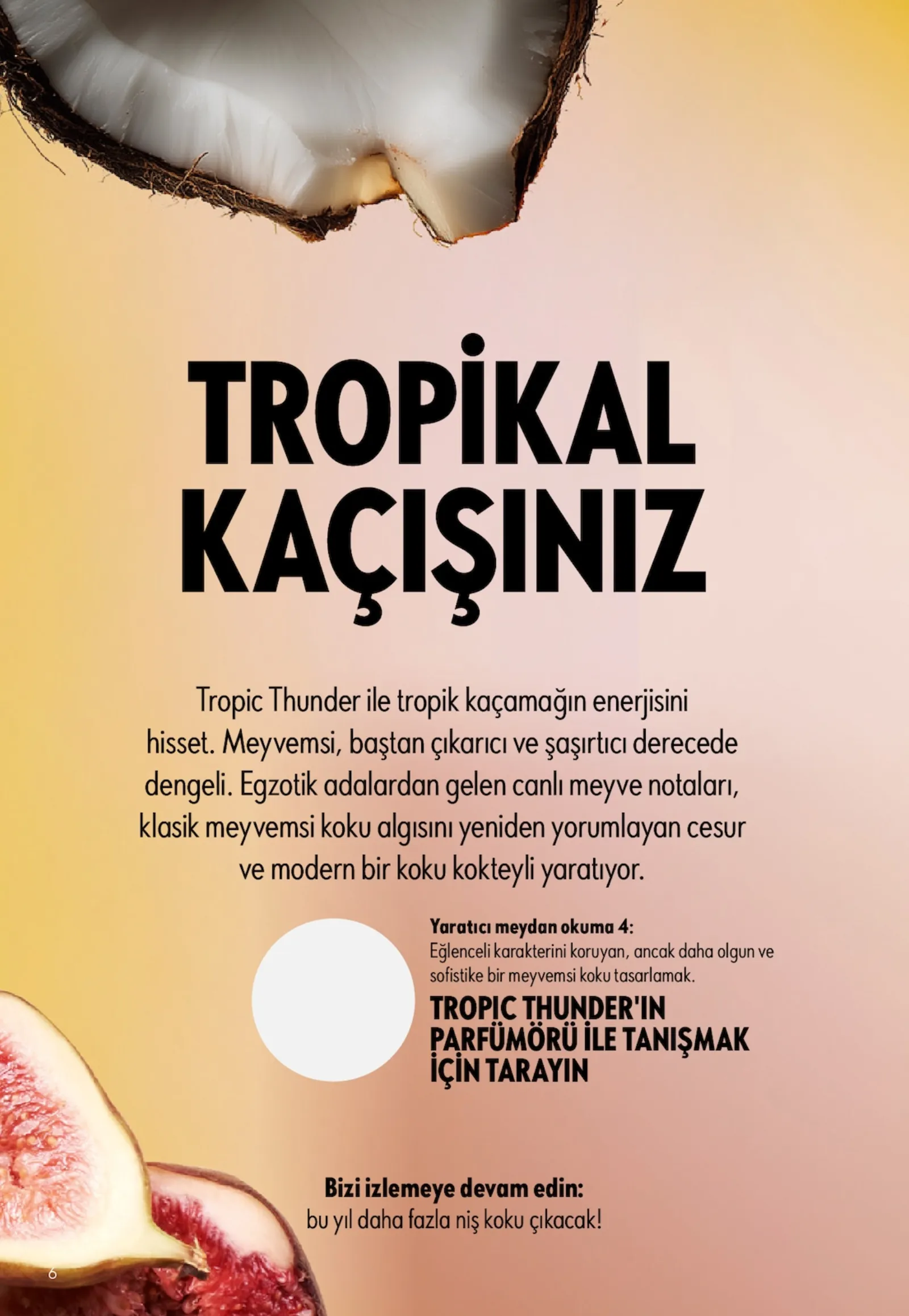 Oriflame broşürü sayfa 6