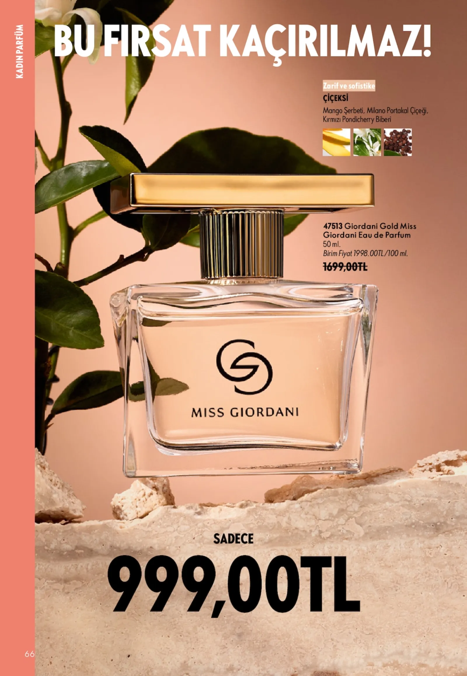 Oriflame broşürü sayfa 66