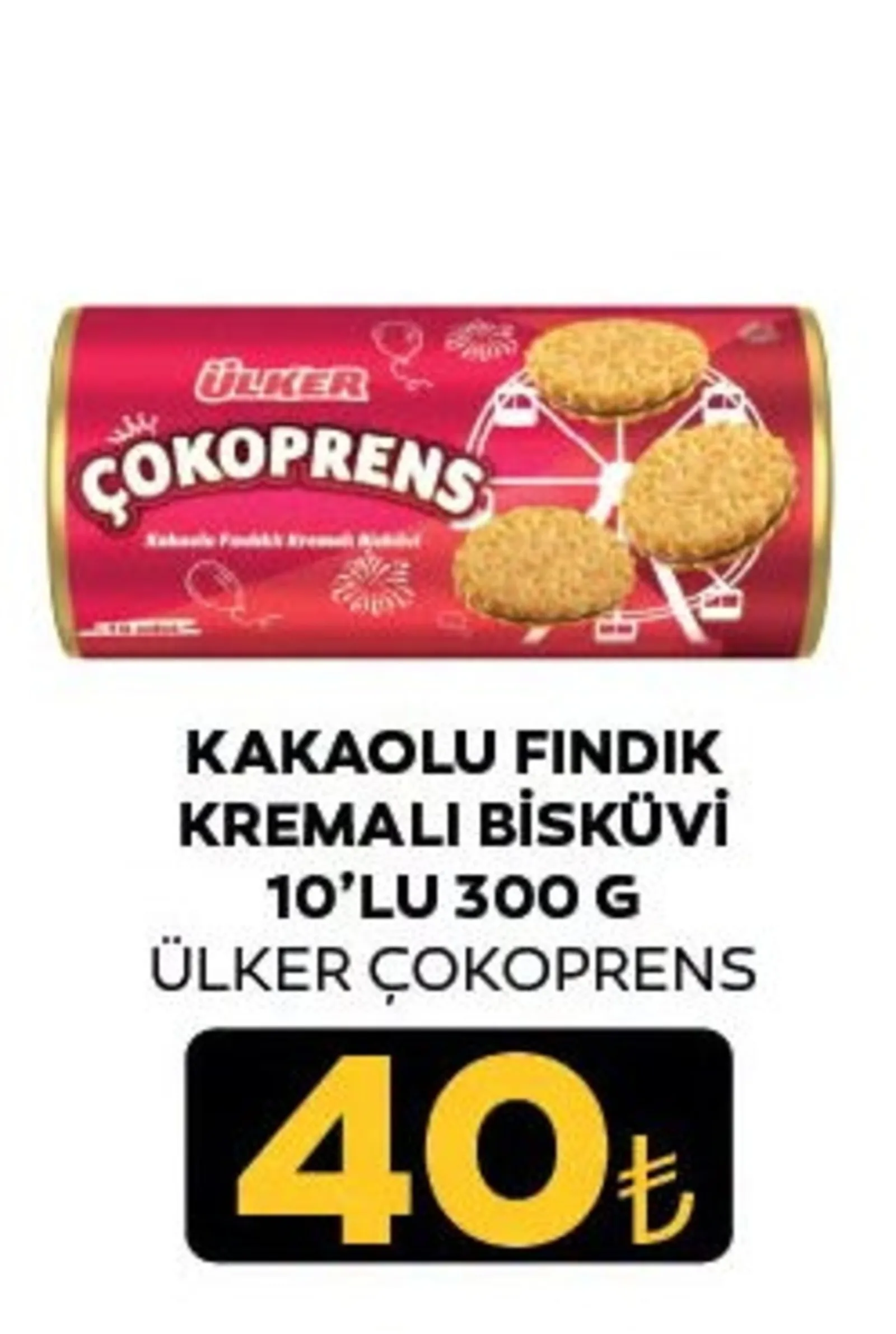 Özen Gross broşürü sayfa 49