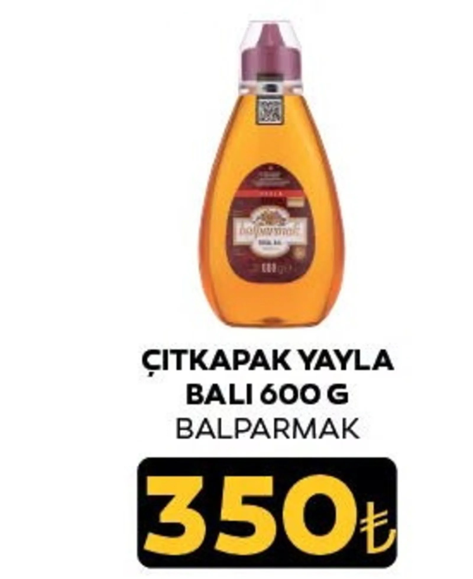 Özen Gross broşürü sayfa 59