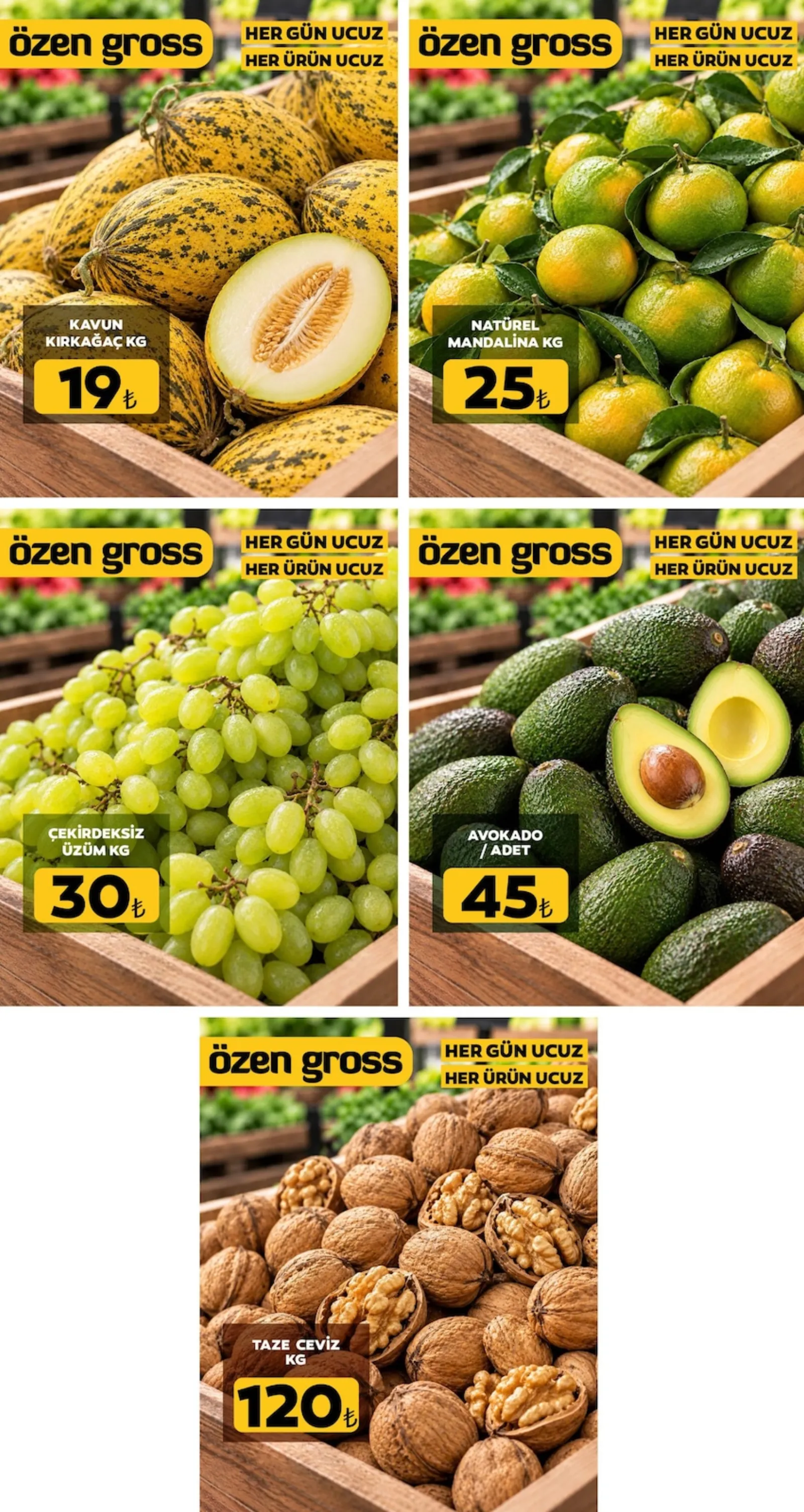 Özen Gross broşürü