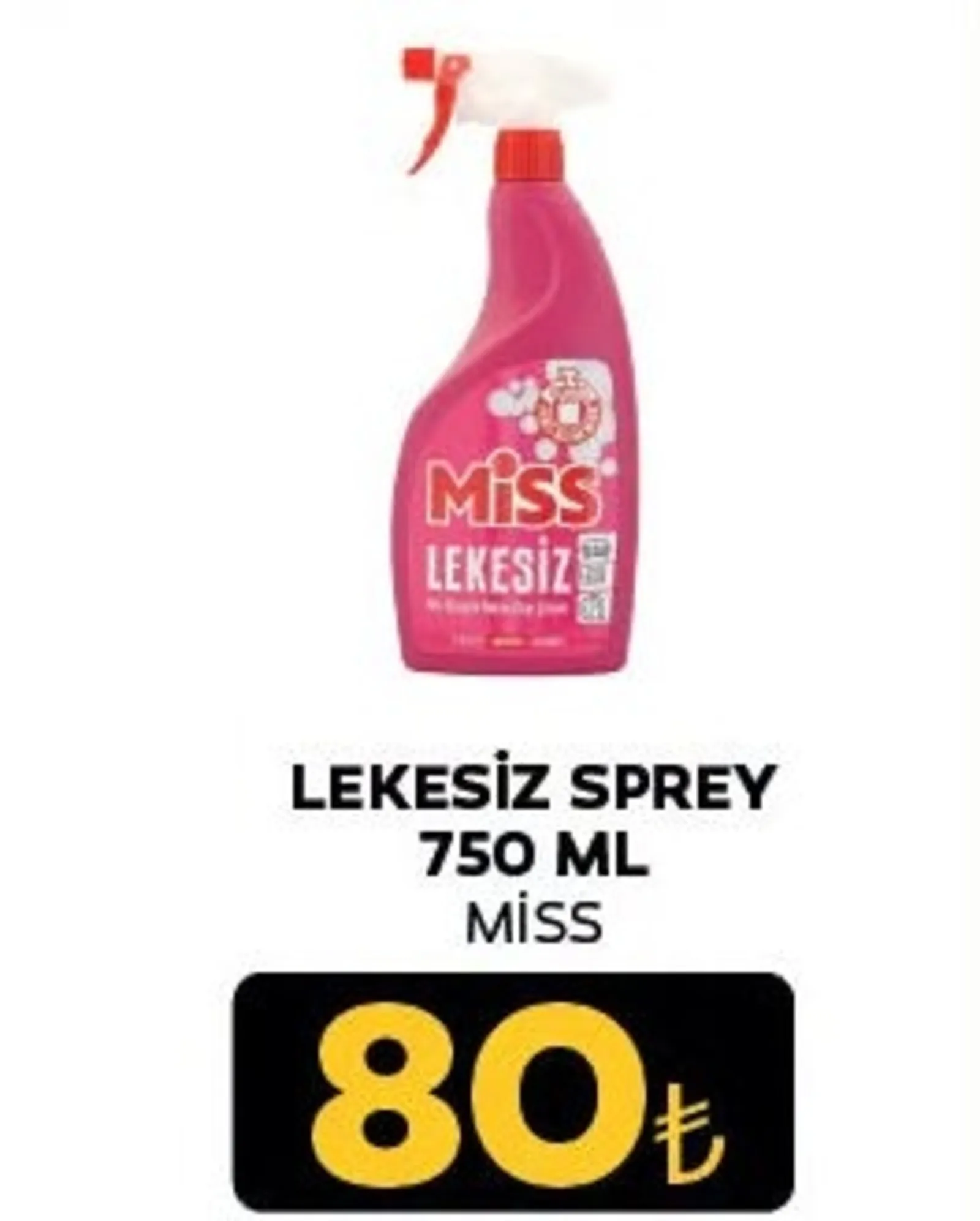 Özen Gross broşürü sayfa 64