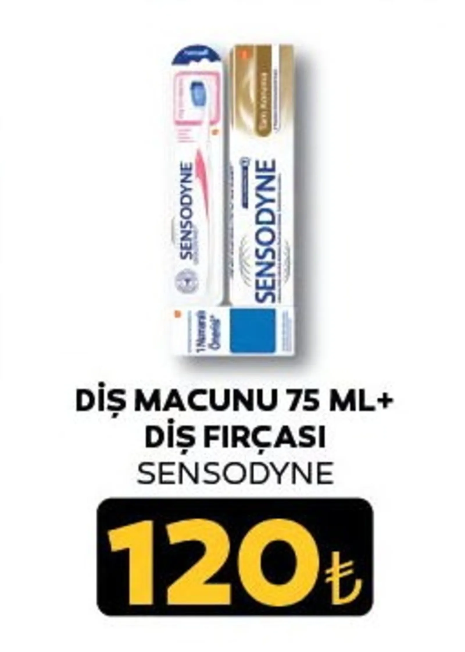 Özen Gross broşürü sayfa 81