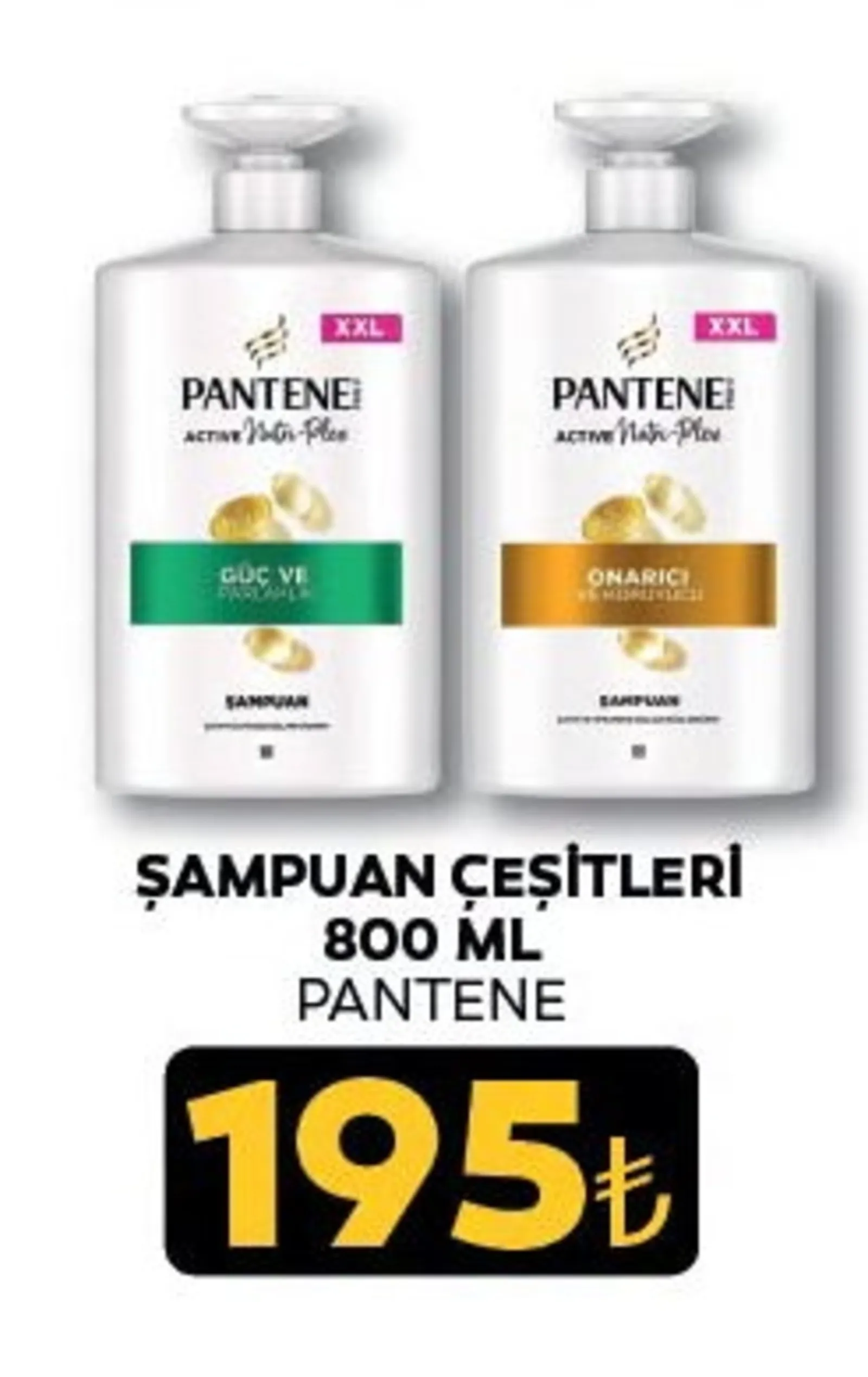 Özen Gross broşürü sayfa 84