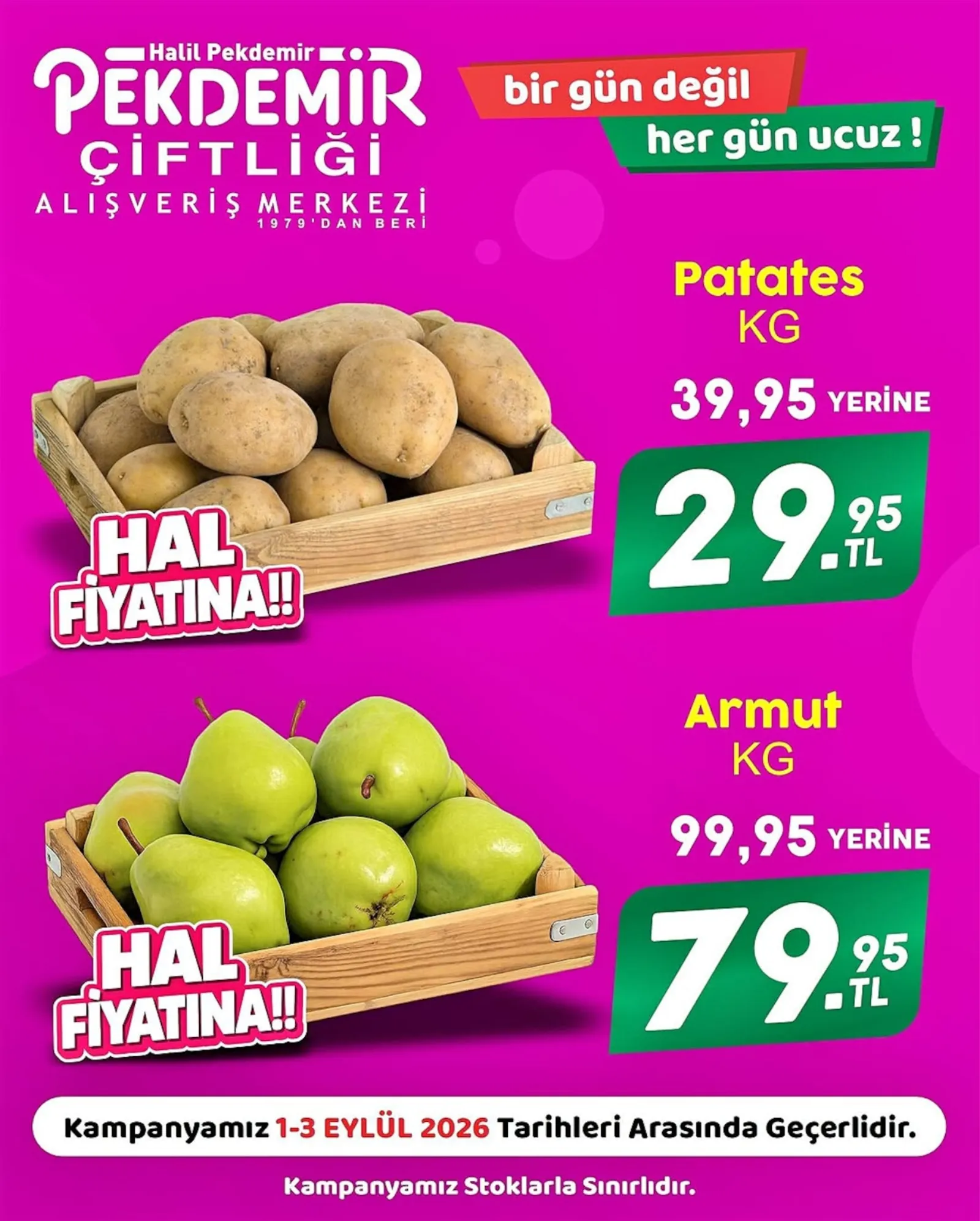 Pekdemir Market broşürü