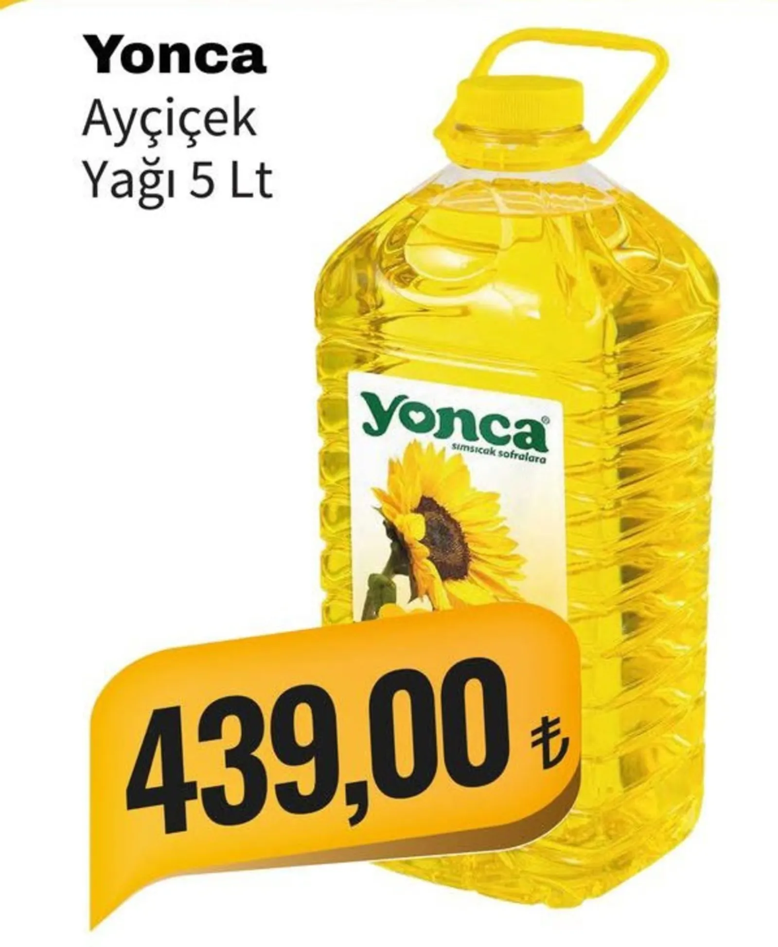 Show Gross broşürü sayfa 5
