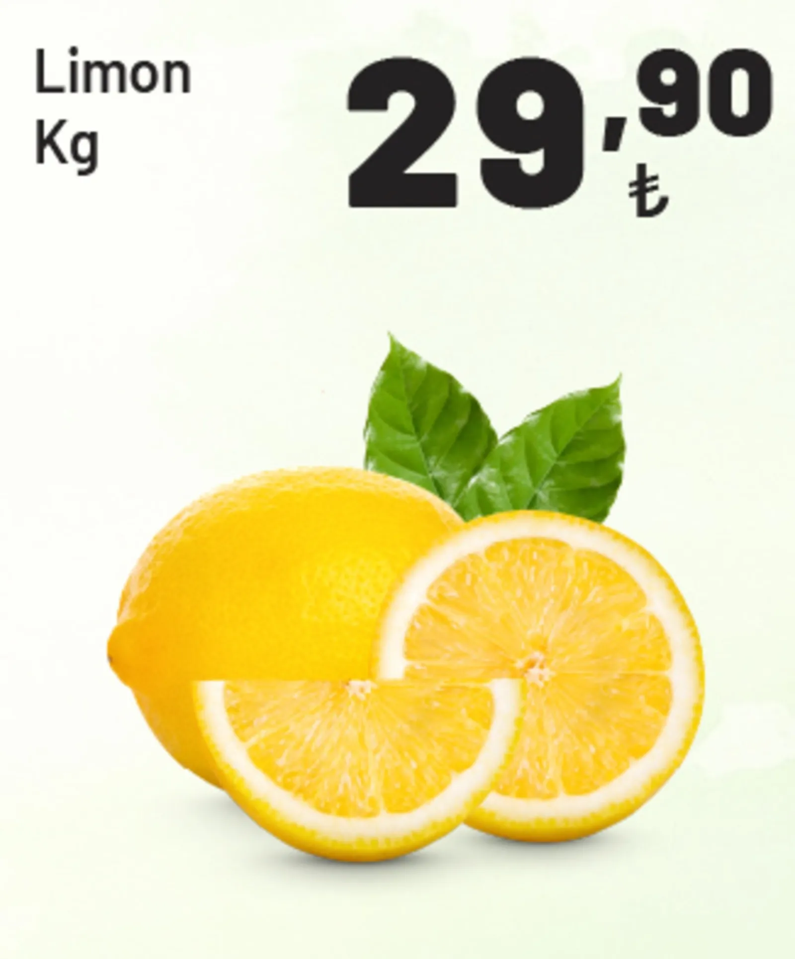 Show Market broşürü sayfa 37