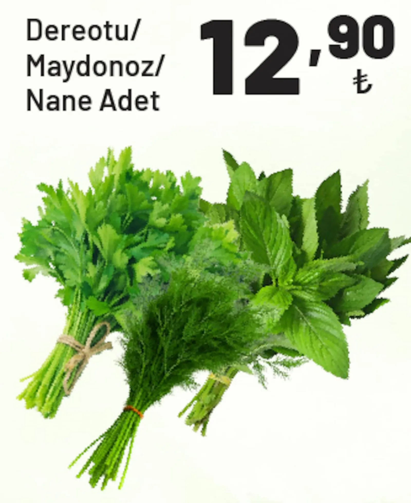 Show Market broşürü sayfa 29