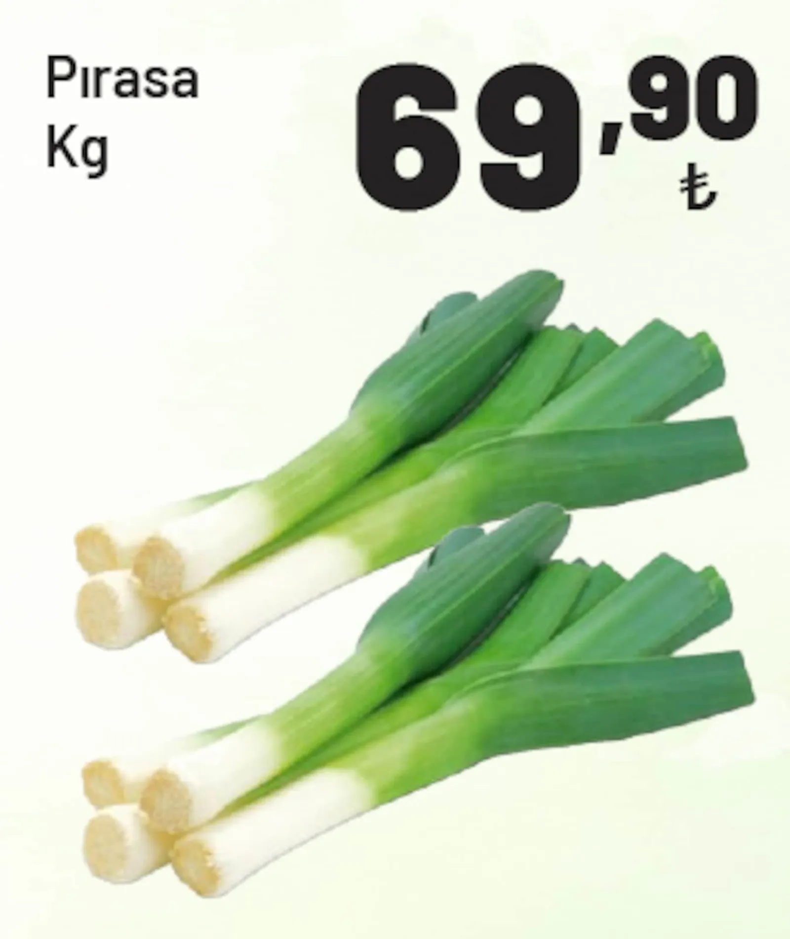 Show Market broşürü sayfa 33