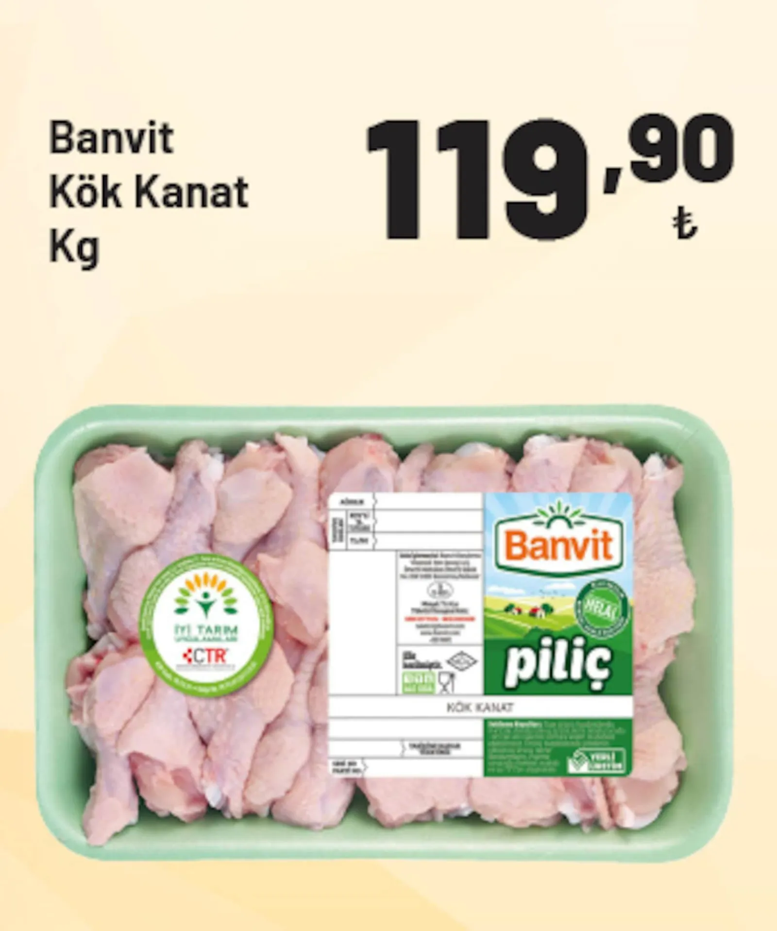 Show Market broşürü sayfa 3