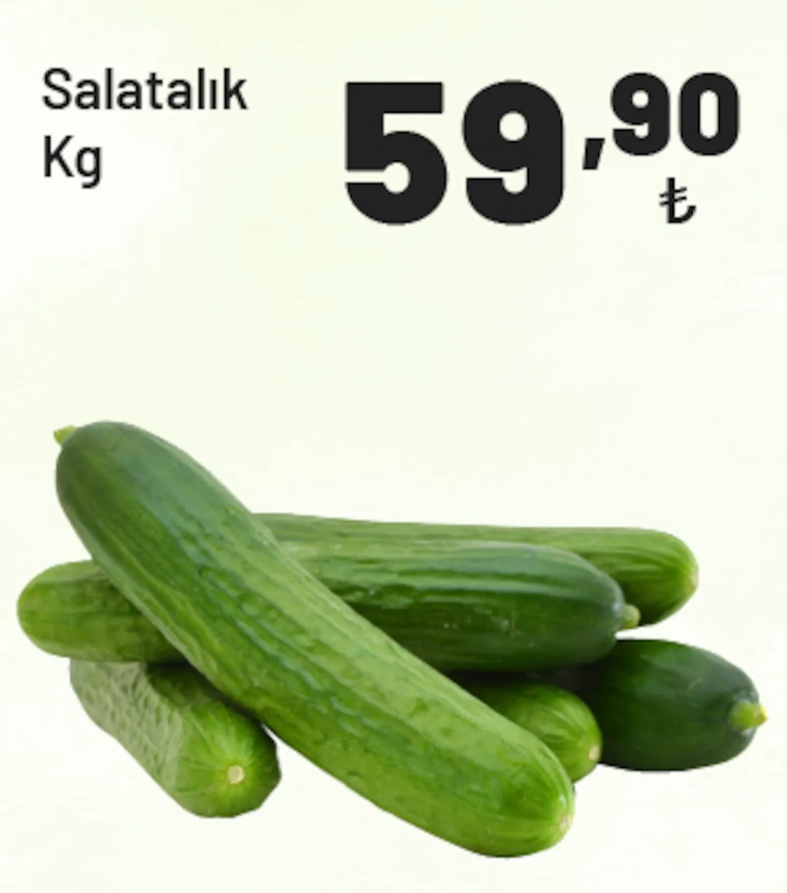 Show Market broşürü sayfa 5
