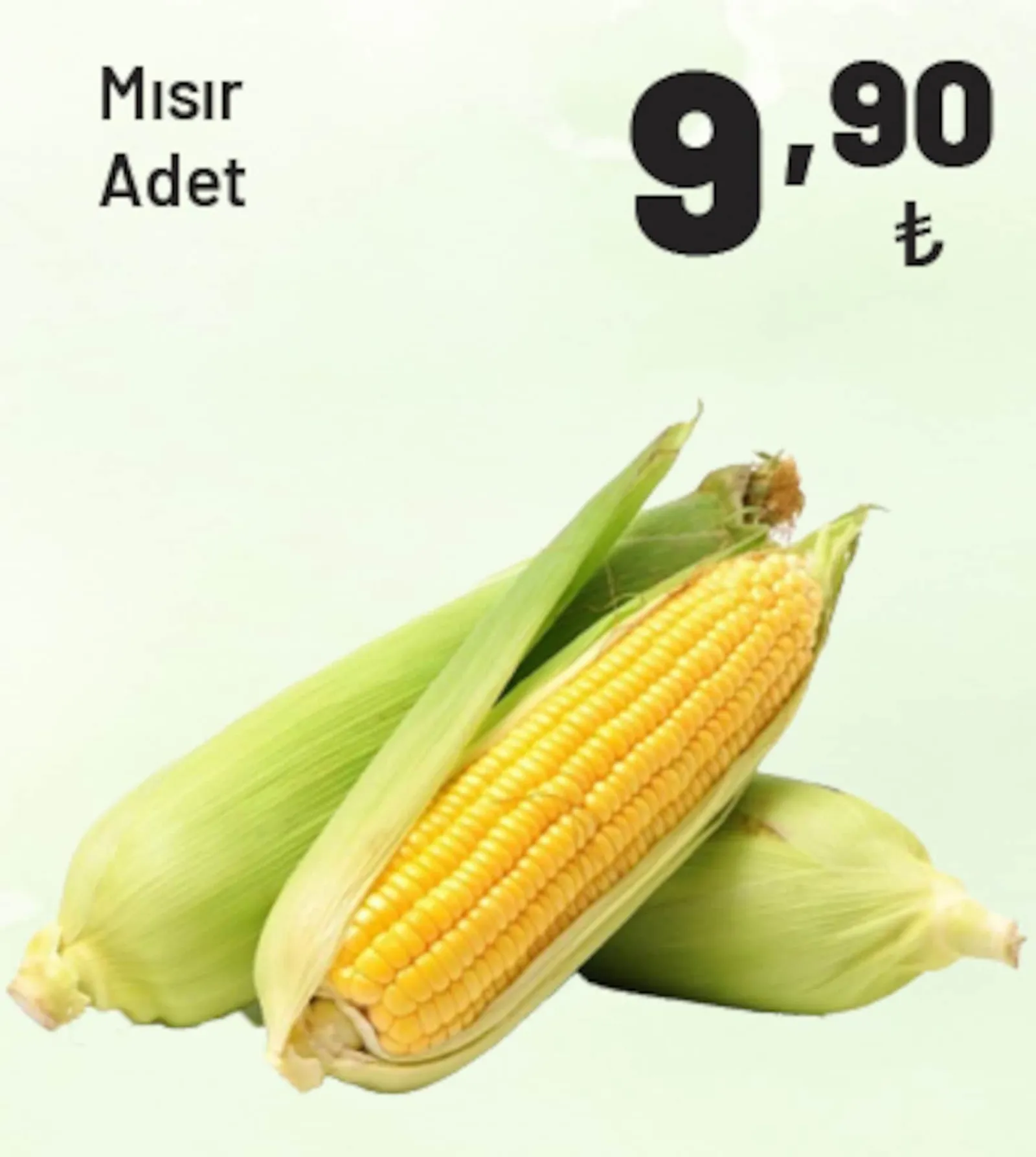 Show Market broşürü sayfa 36