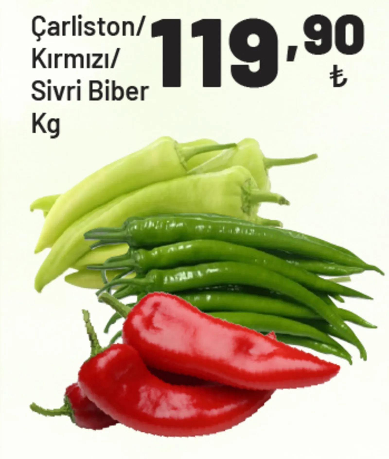 Show Market broşürü sayfa 26