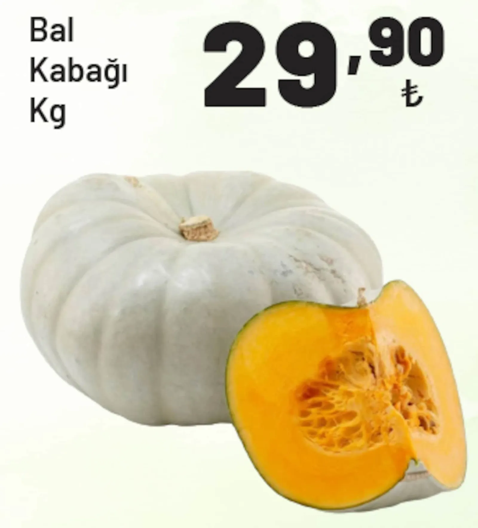 Show Market broşürü sayfa 22