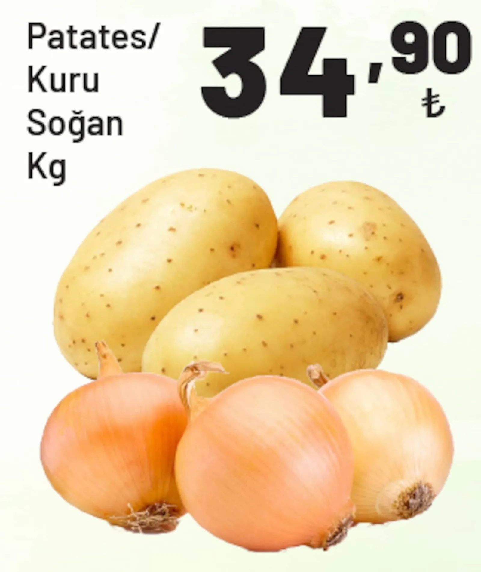 Show Market broşürü sayfa 17