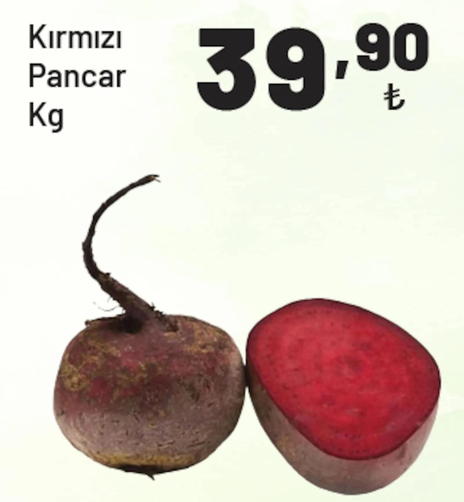 Show Market broşürü sayfa 2