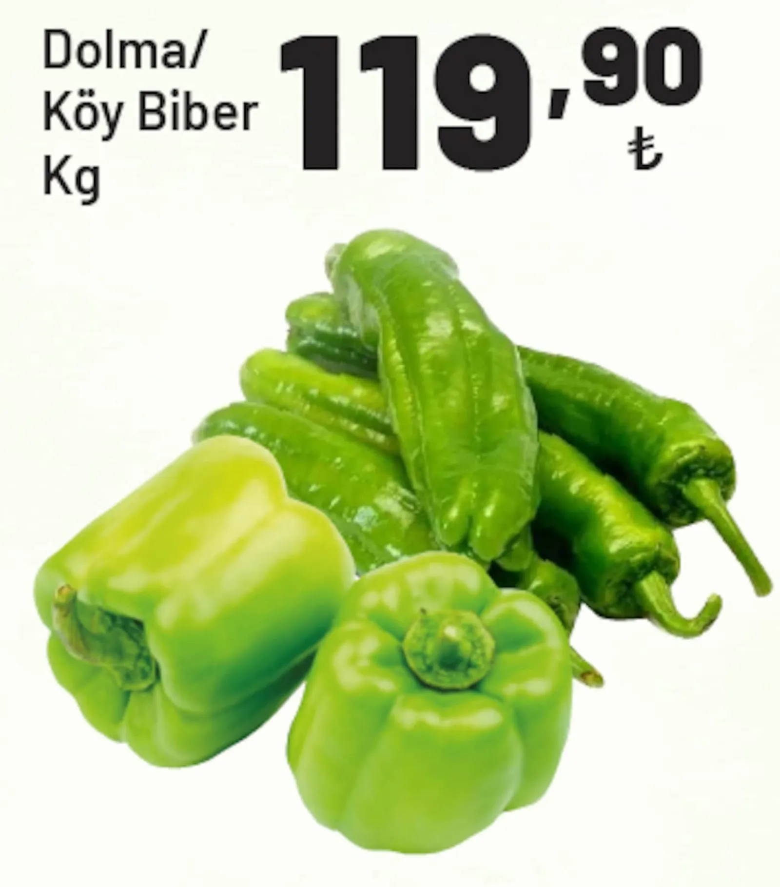 Show Market broşürü sayfa 27
