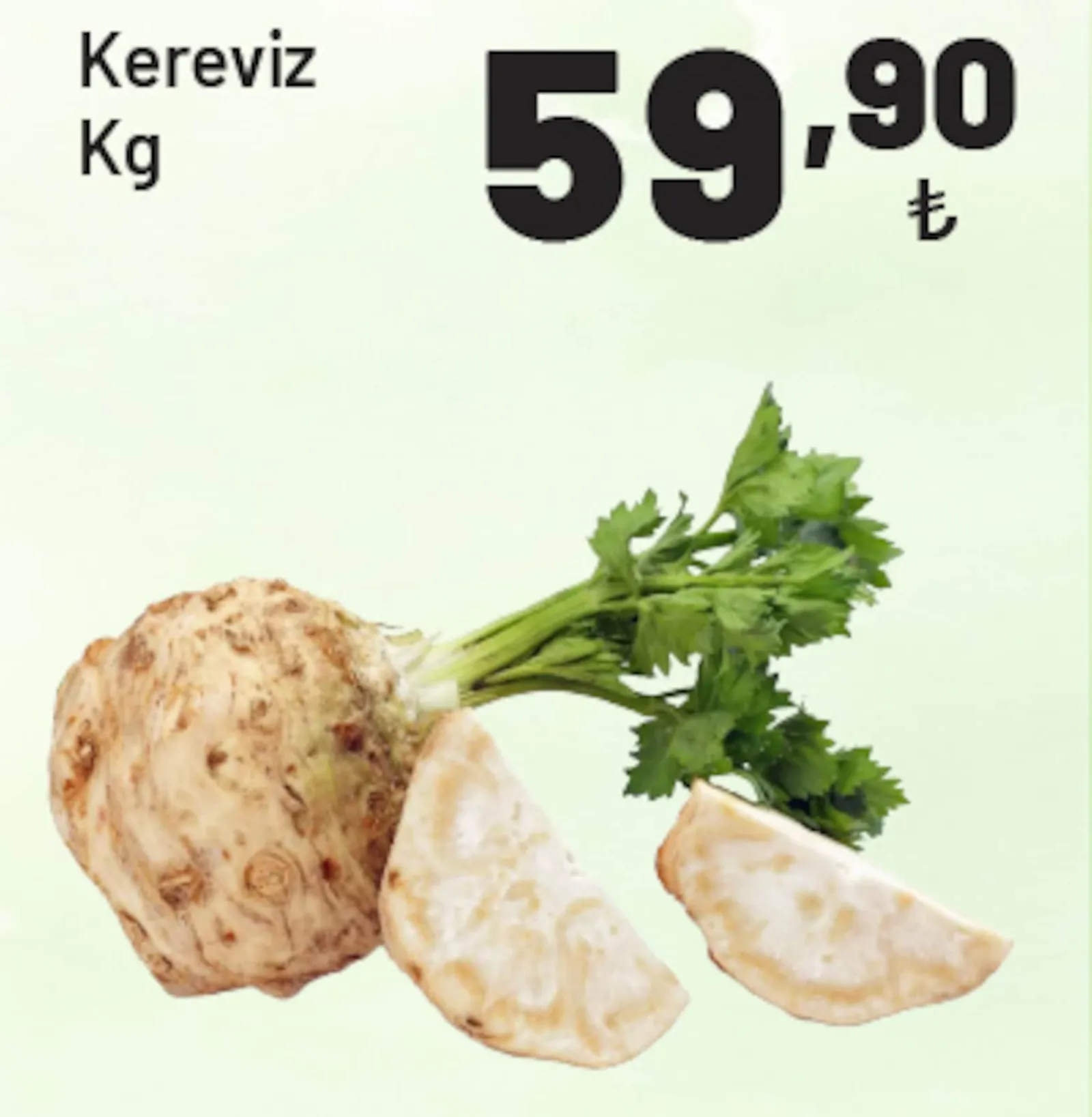 Show Market broşürü sayfa 31