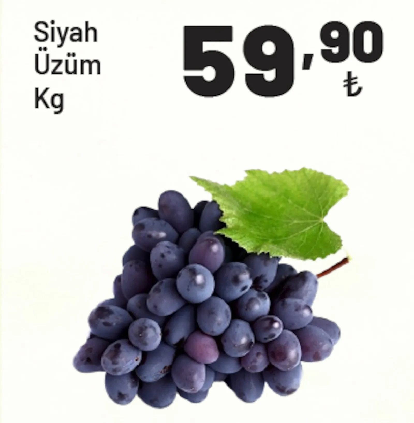 Show Market broşürü sayfa 11