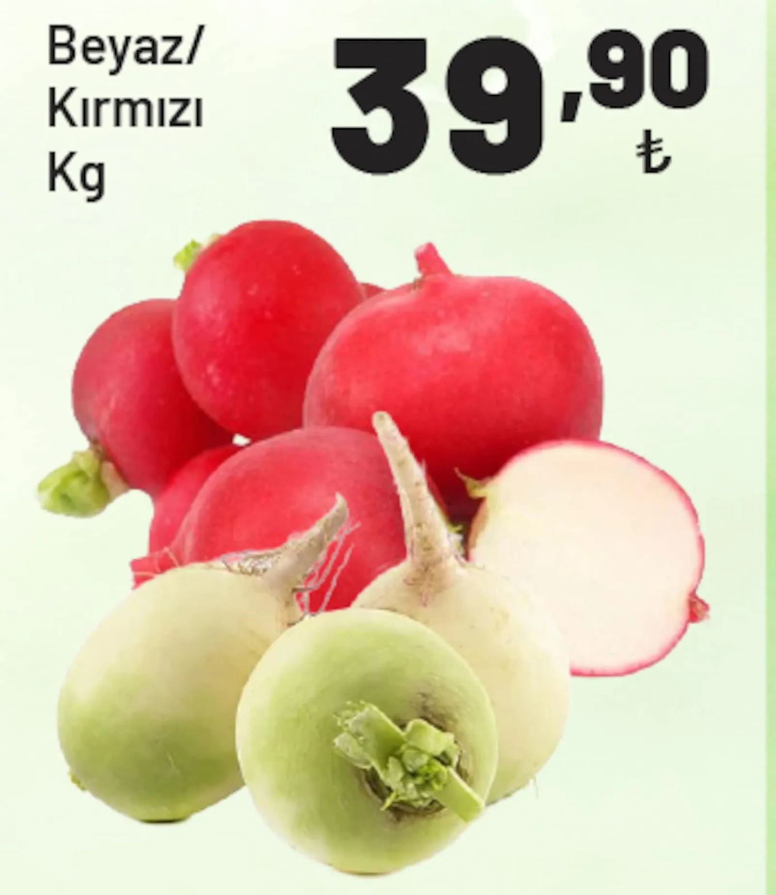 Show Market broşürü sayfa 3