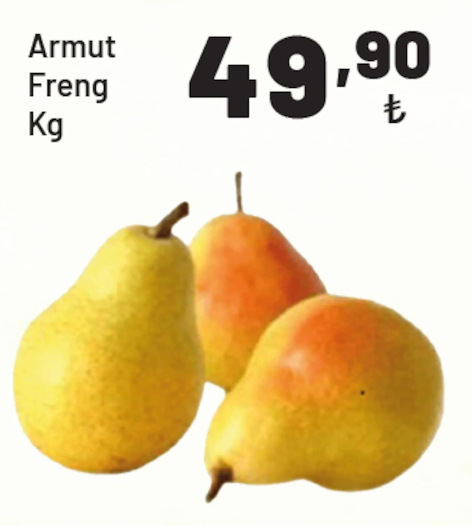 Show Market broşürü sayfa 39