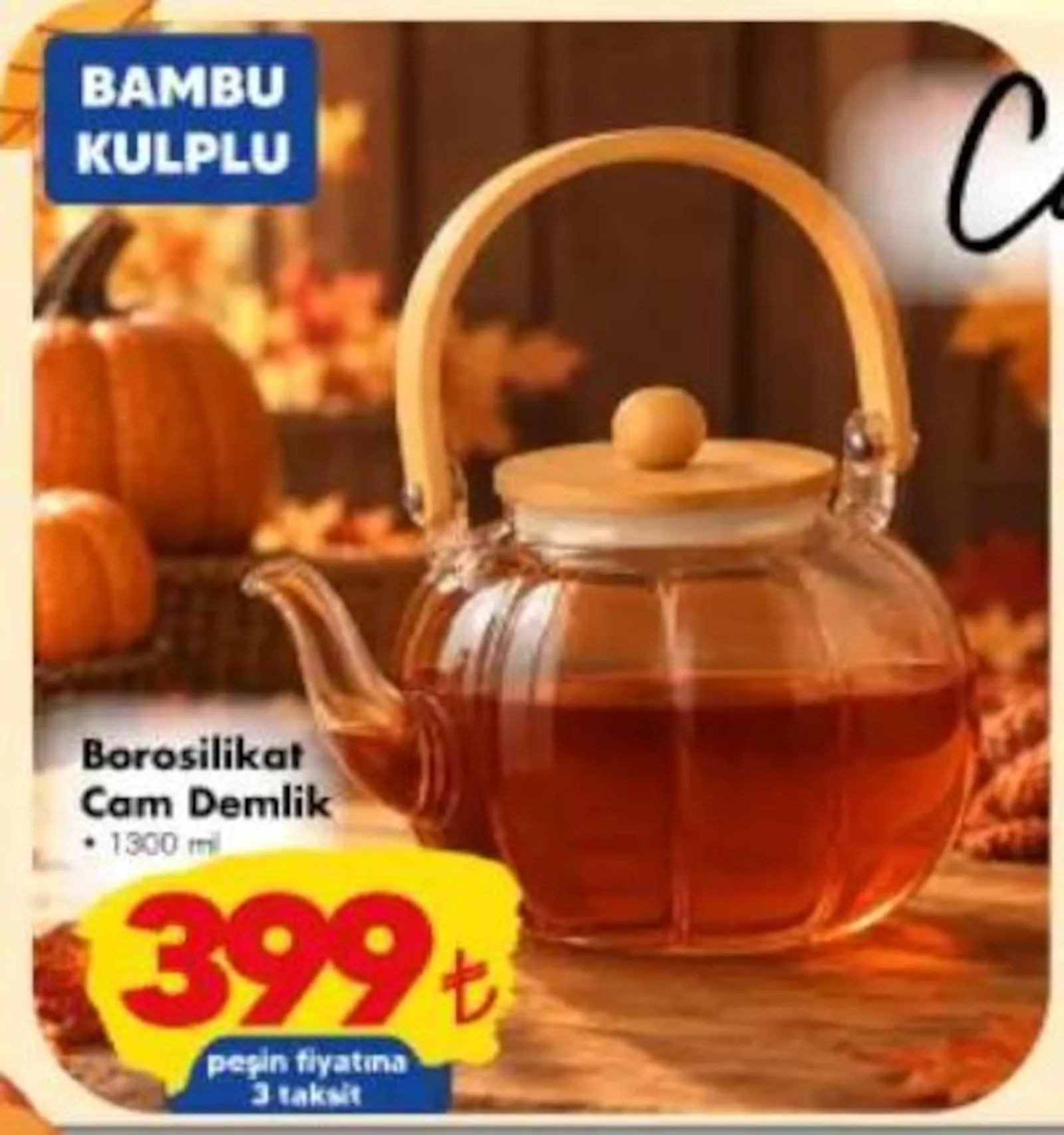 Şok broşürü sayfa 87
