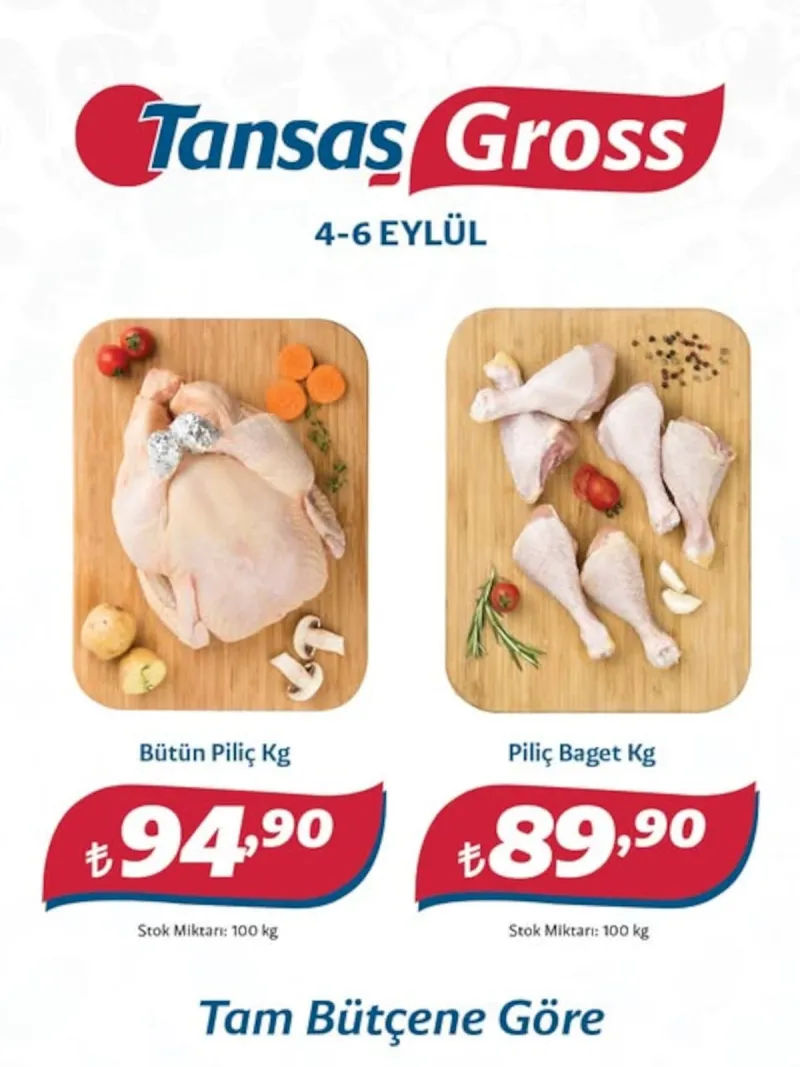 Tansaş Gross broşürü