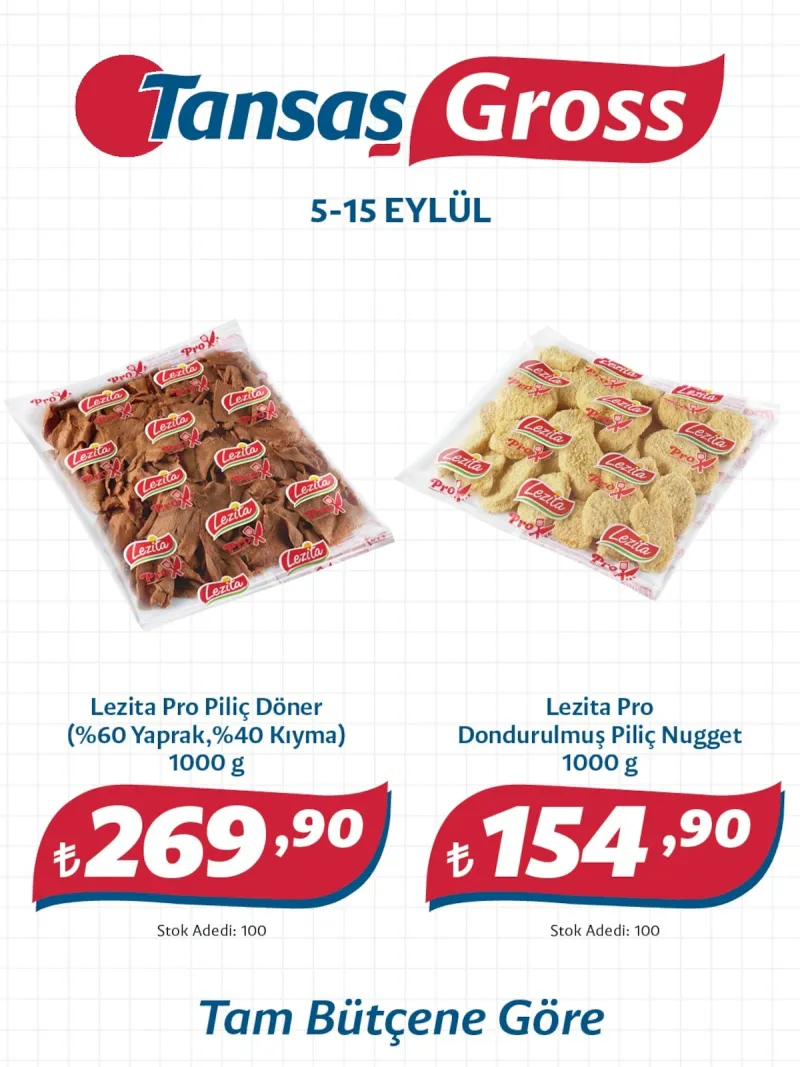 Tansaş Gross broşürü
