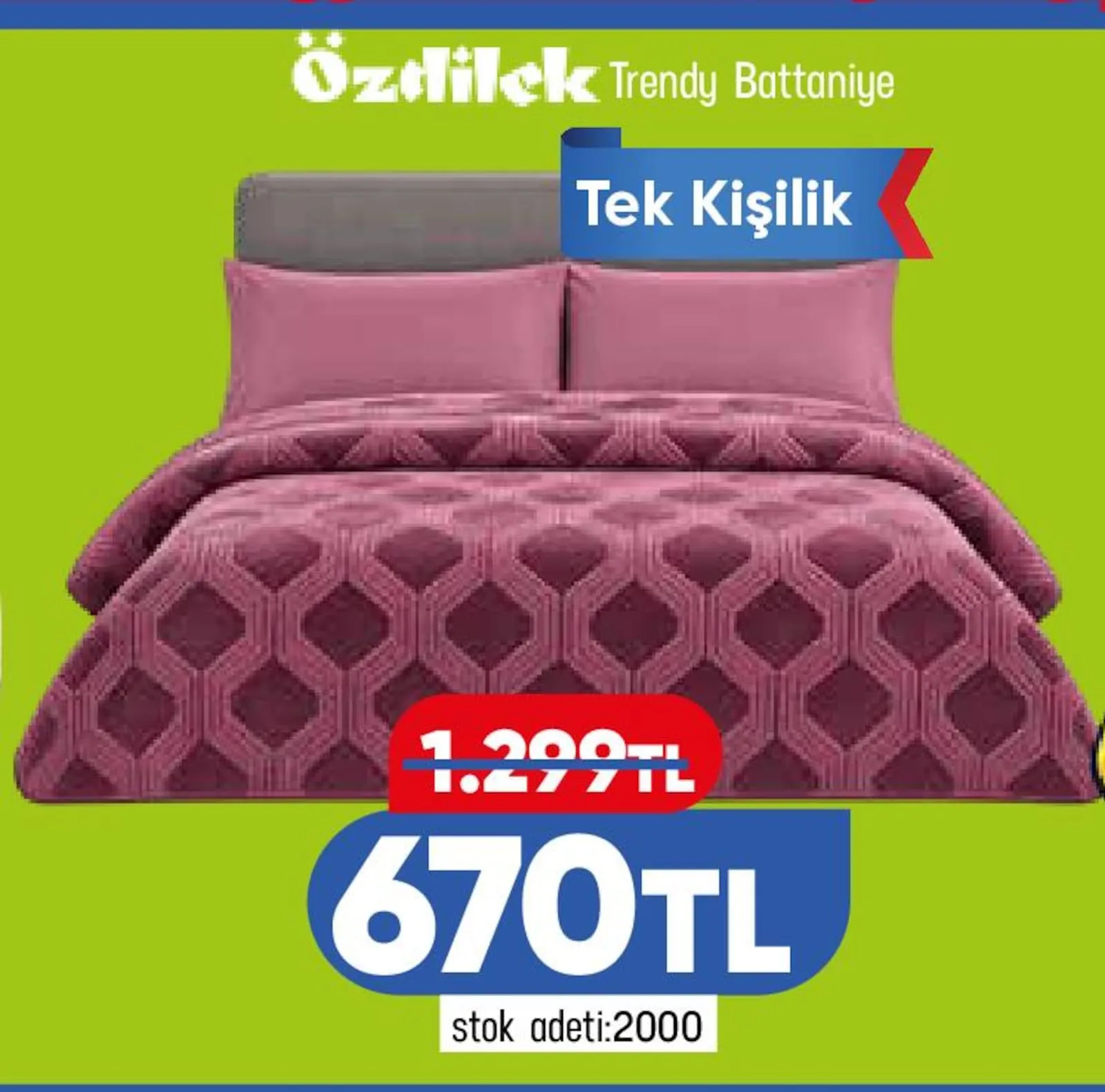 Taşpınar broşürü sayfa 119