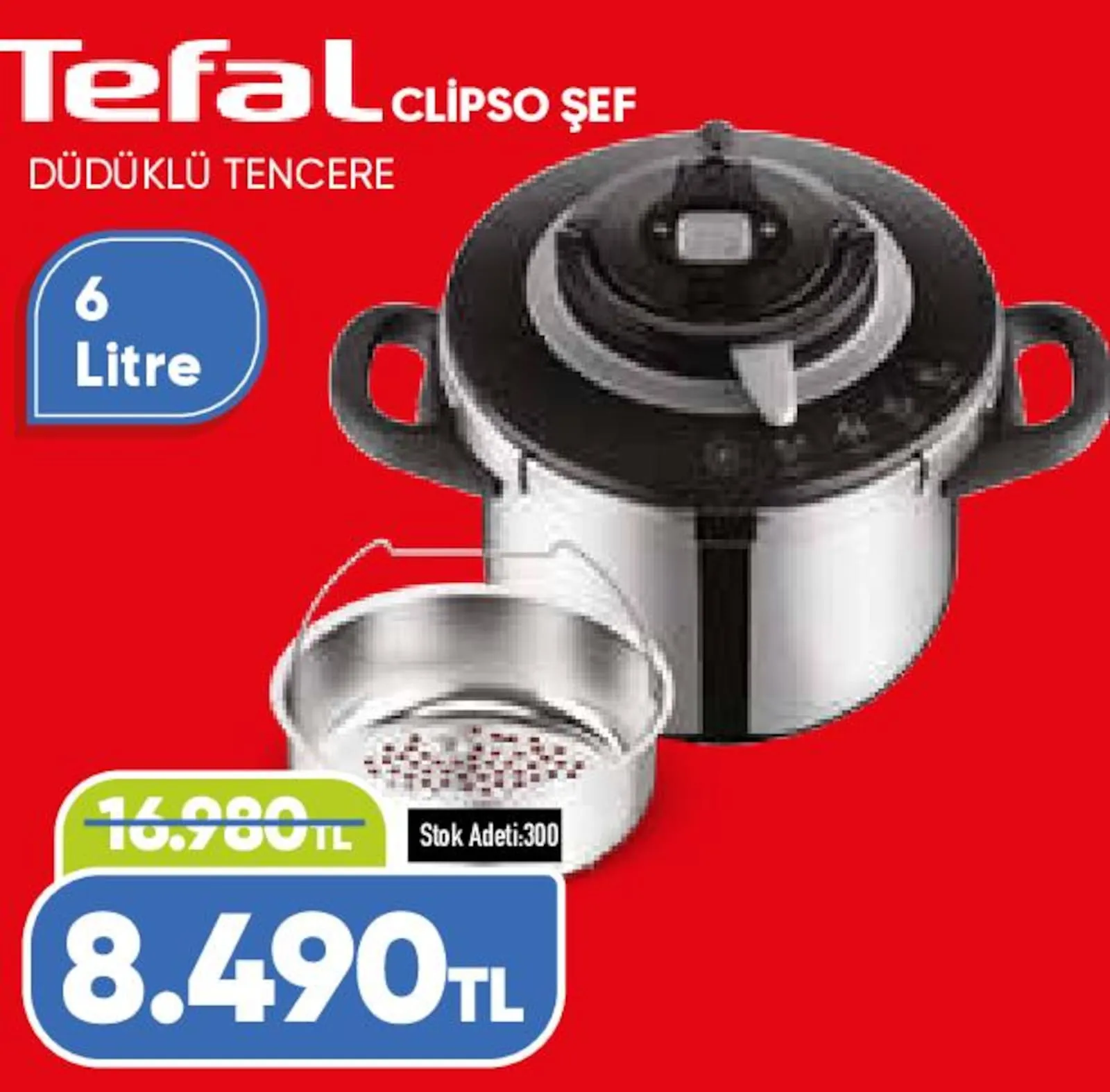 Taşpınar broşürü sayfa 46
