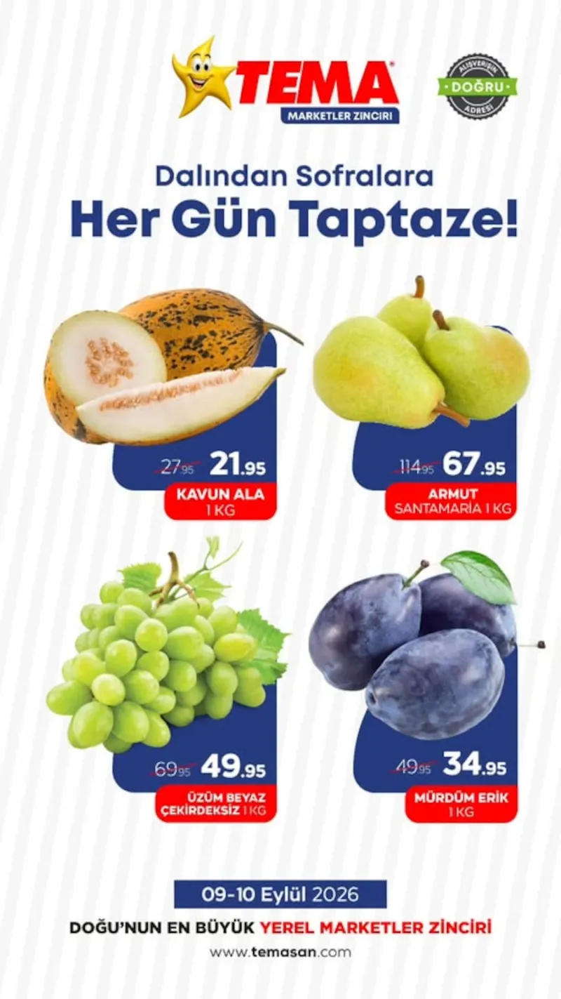Tema Market broşürü sayfa 1