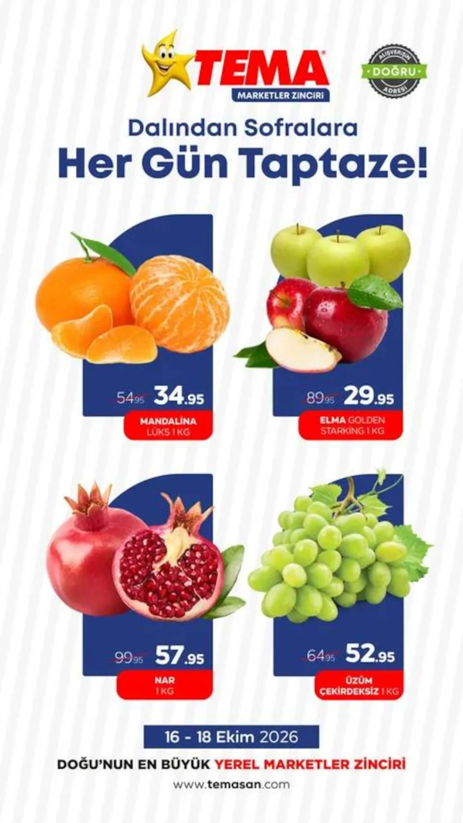 Tema Market broşürü sayfa 2
