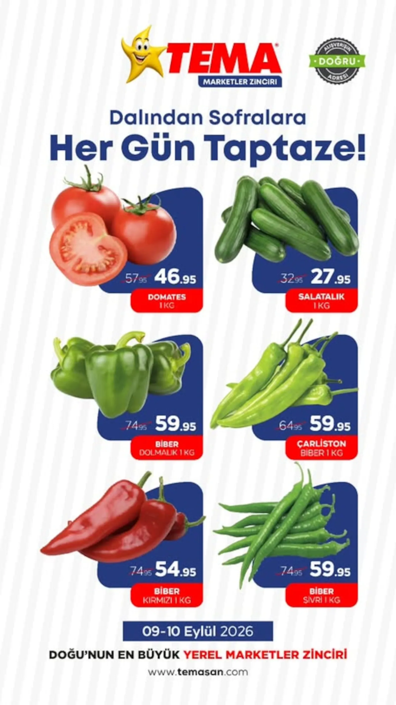 Tema Market broşürü sayfa 2