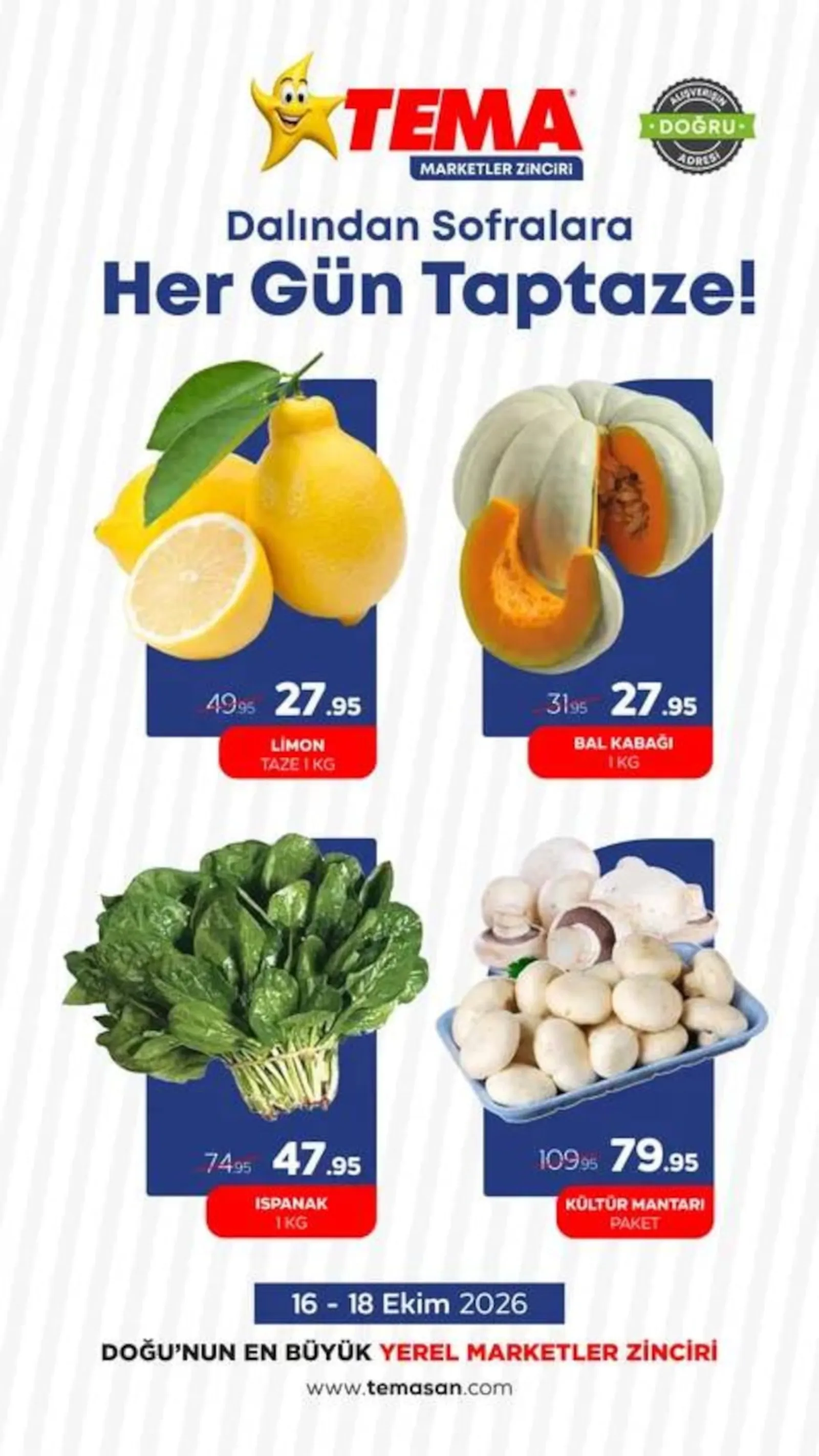 Tema Market broşürü sayfa 3