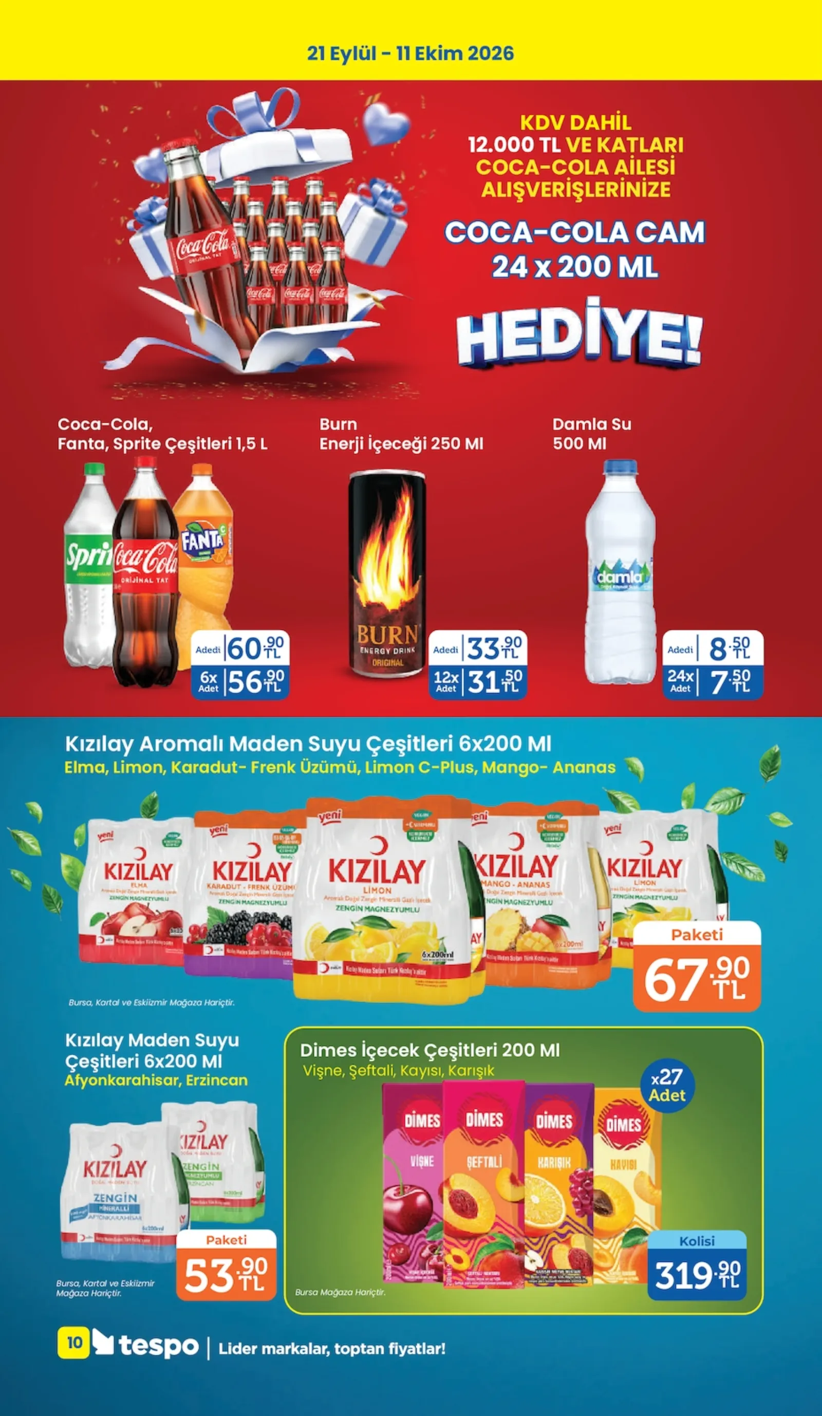 Tespo broşürü sayfa 10