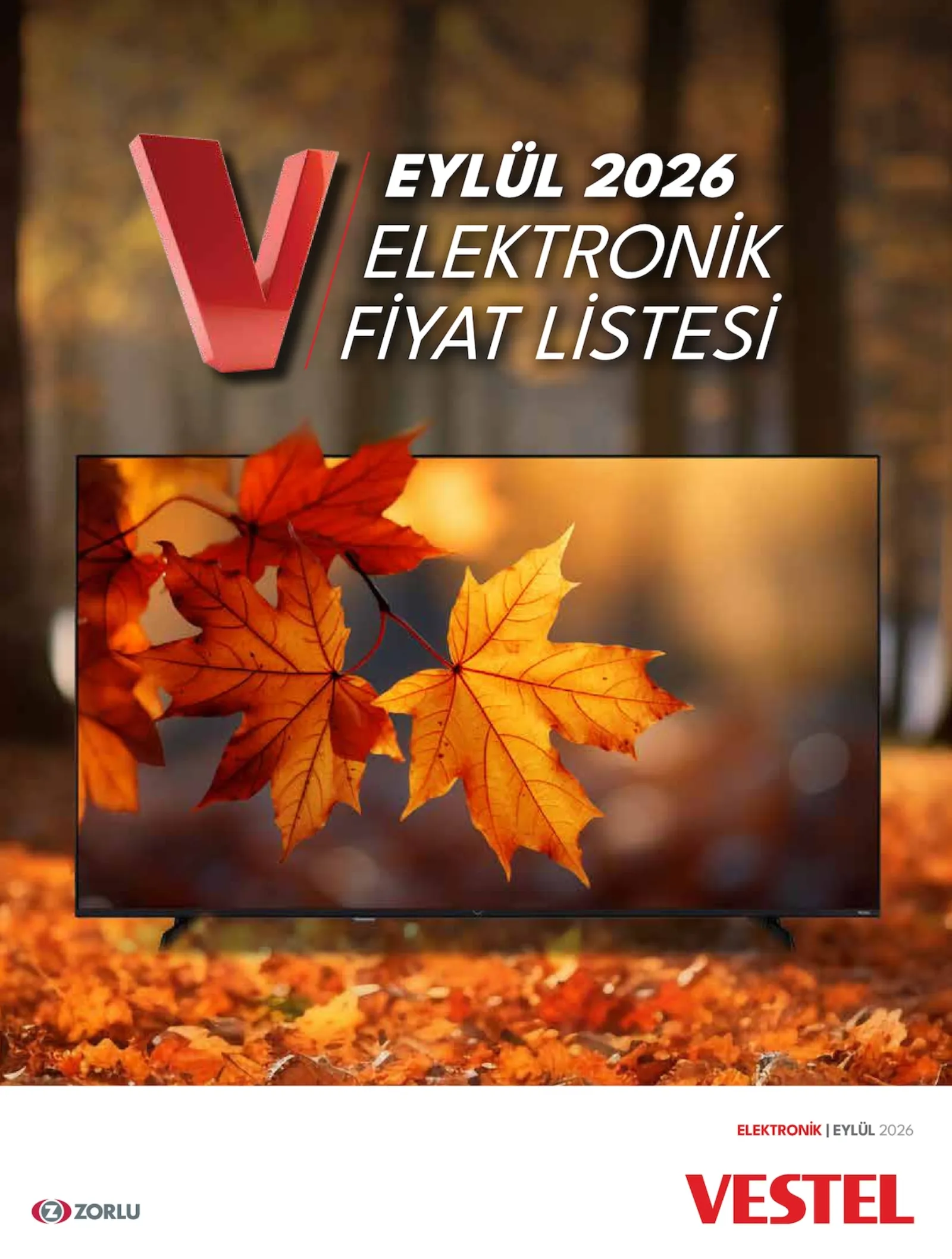 Vestel broşürü