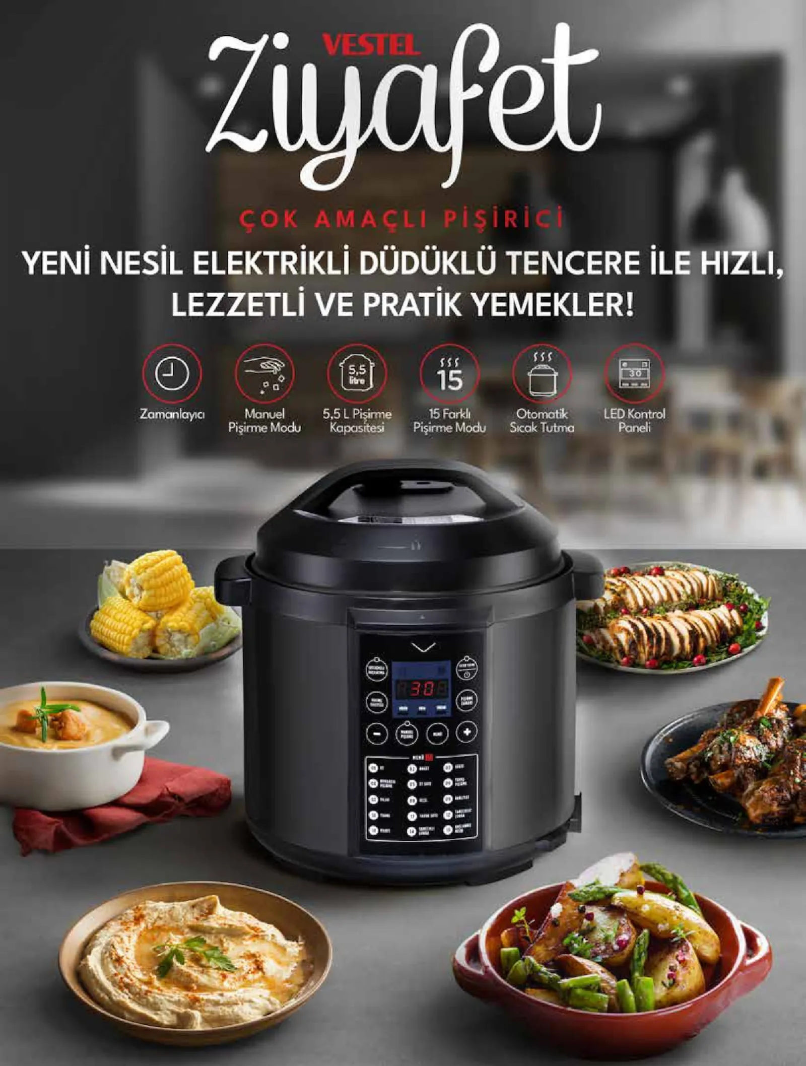 Vestel broşürü sayfa 14