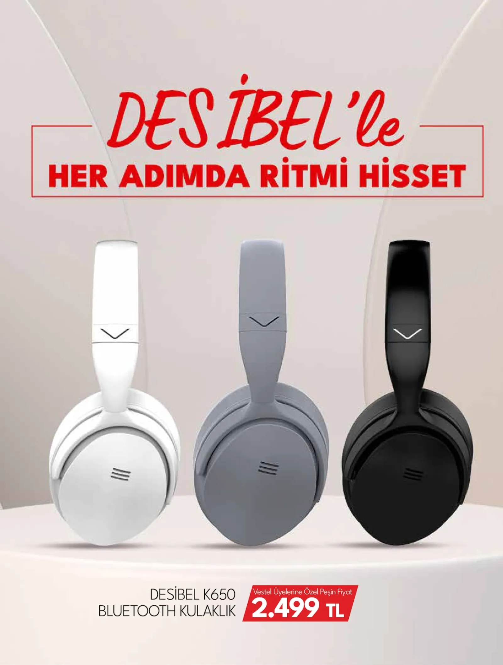 Vestel broşürü sayfa 5