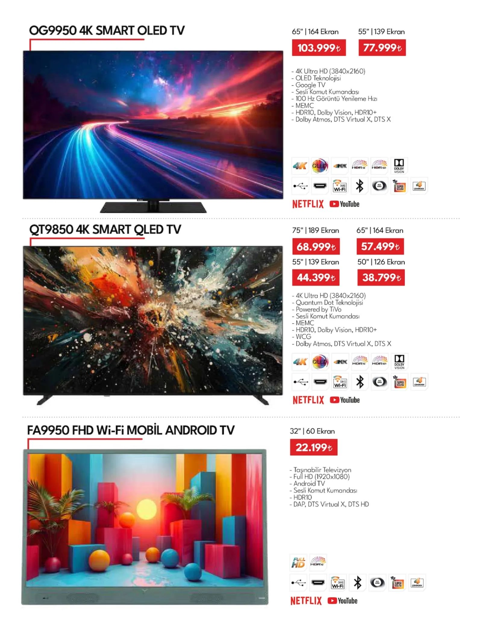 Vestel broşürü sayfa 17