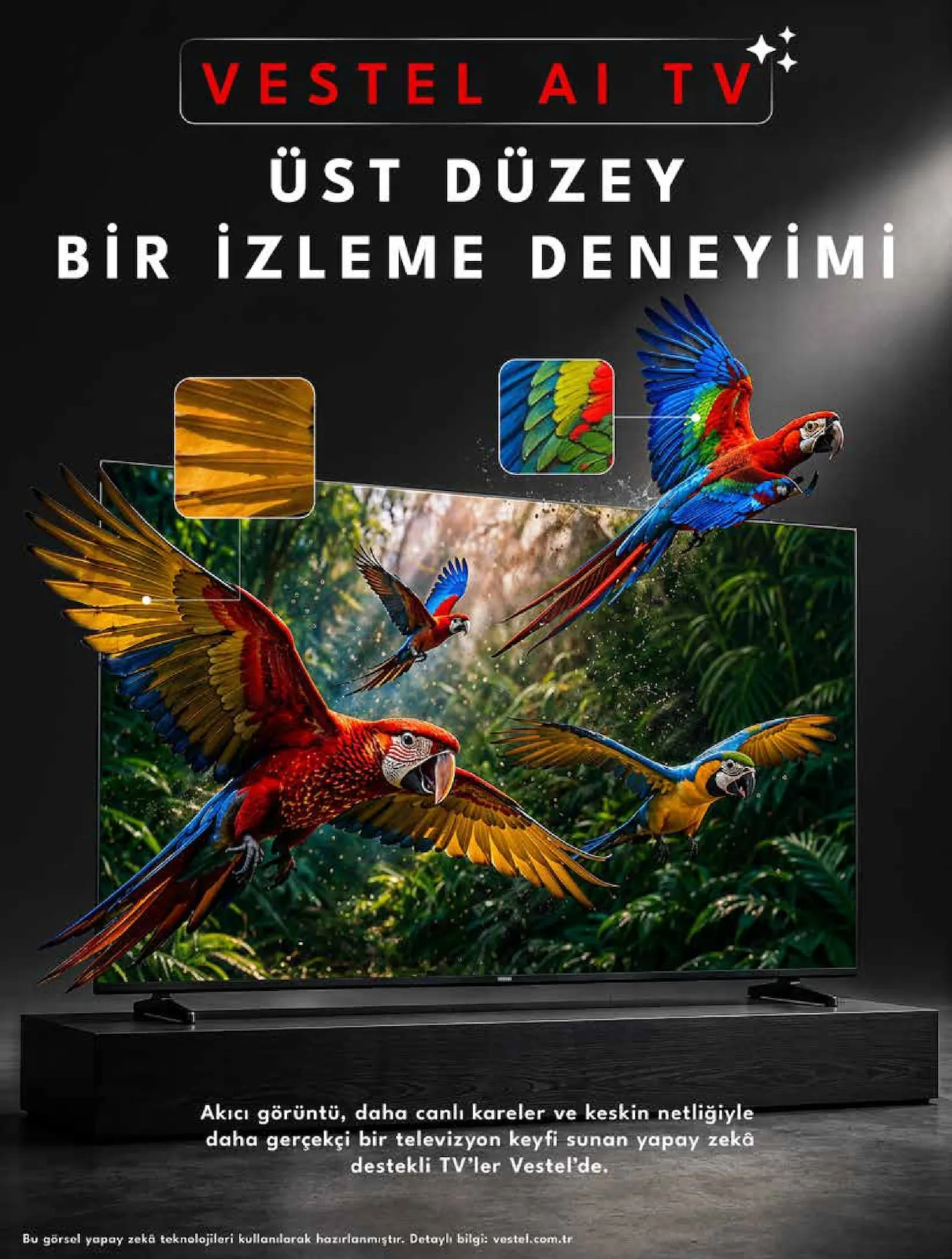 Vestel broşürü sayfa 6