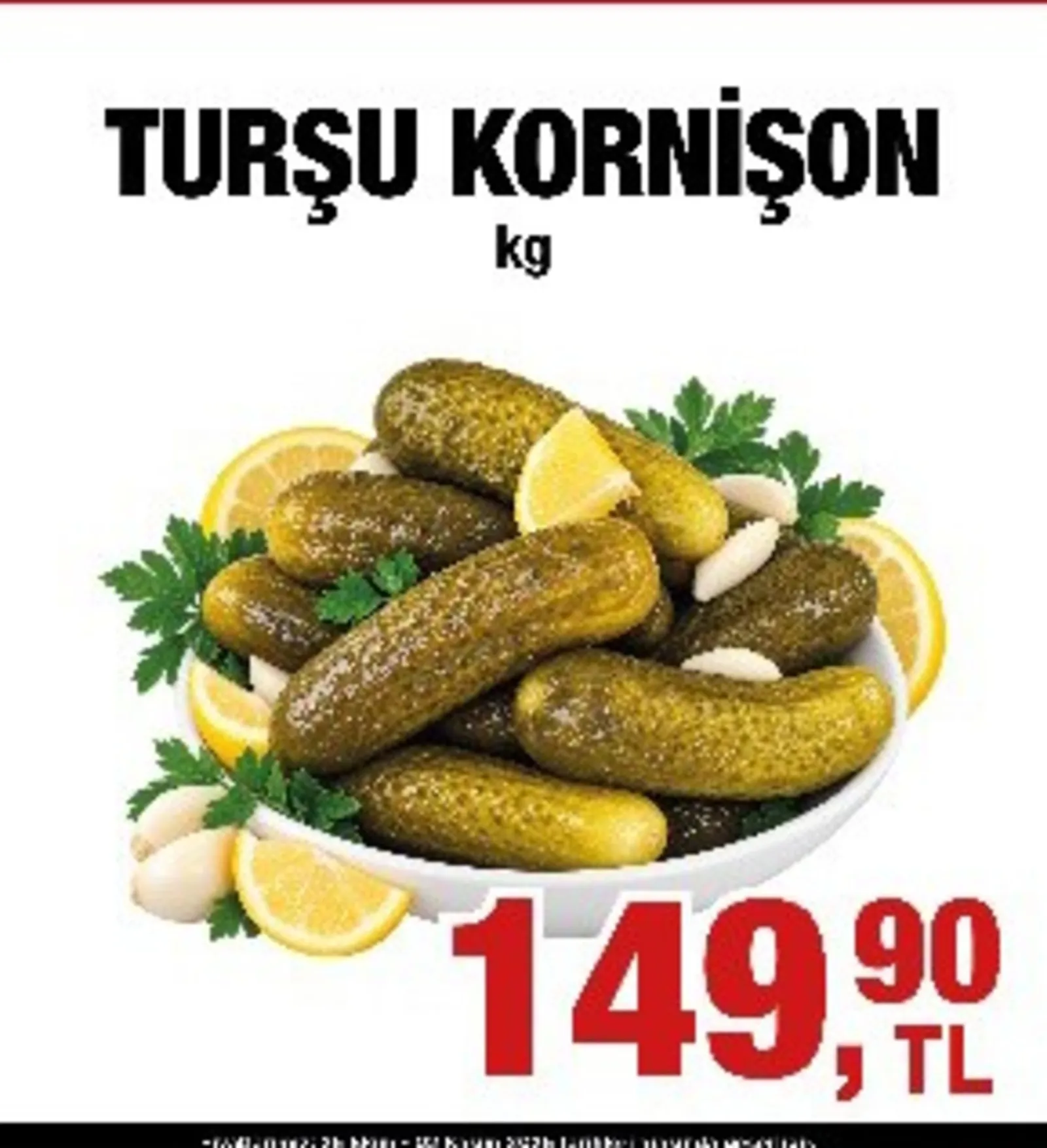 XL Gross broşürü sayfa 3