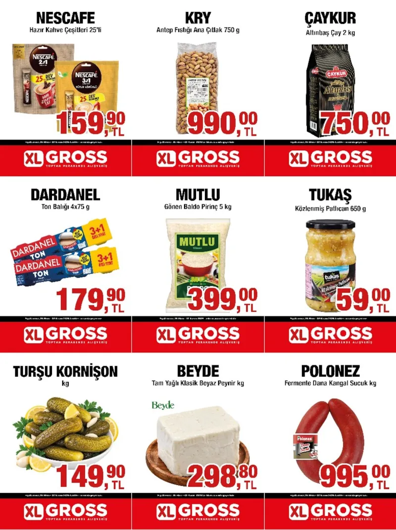 XL Gross broşürü